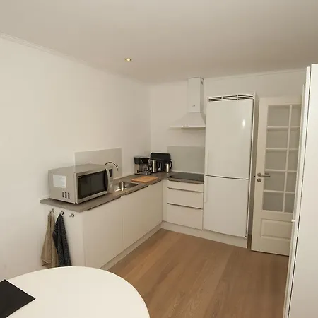 Svanevej Apartment